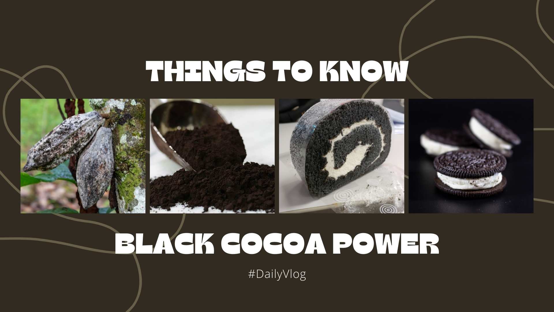 Reasons you should use black cocoa powder