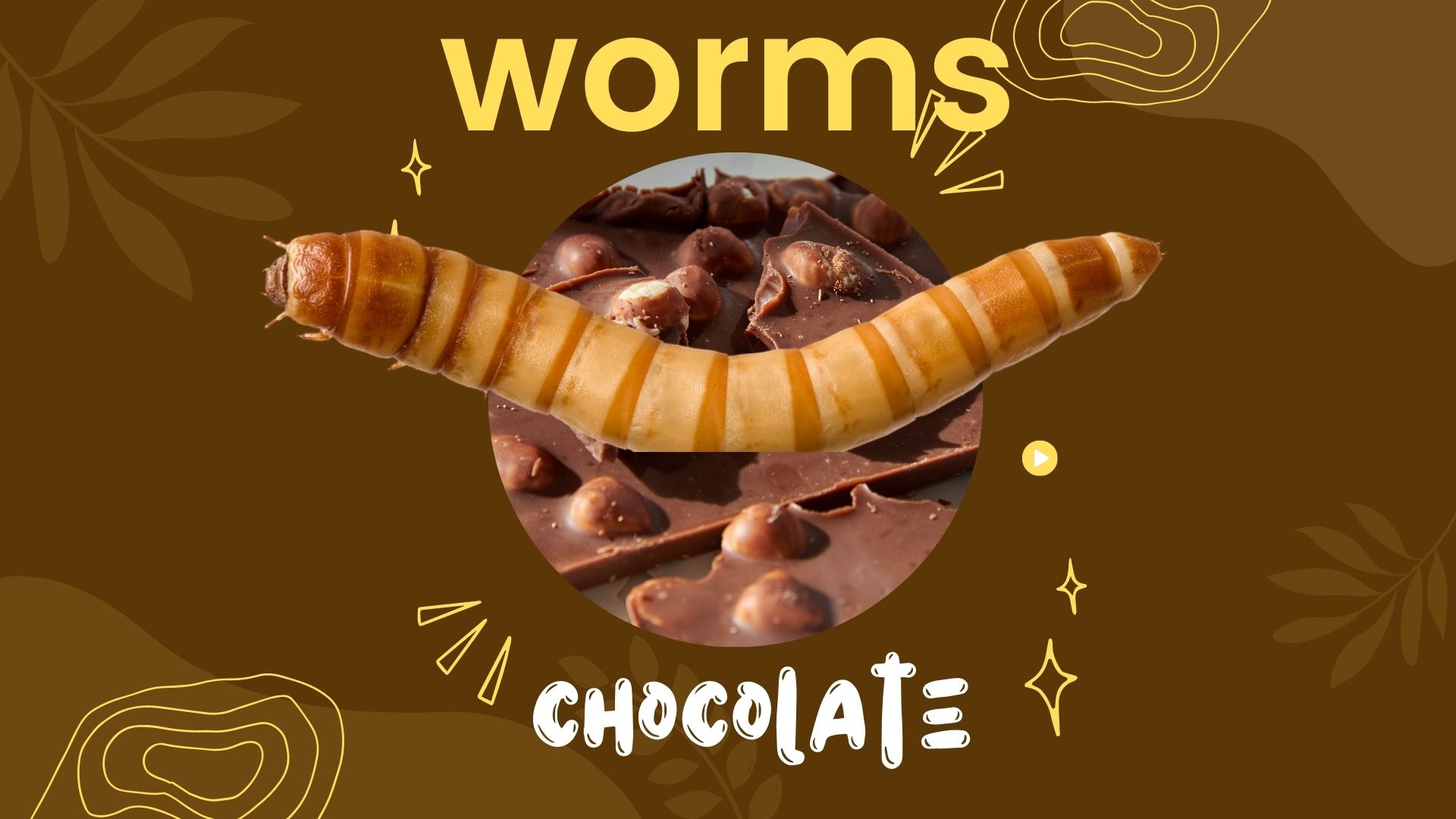 Worms in Chocolate