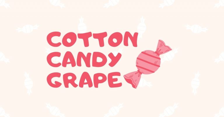 Cotton Candy Grape – Things you should know