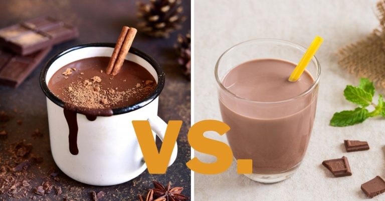 The Difference Between Hot Chocolate AND Chocolate Milk: Which Is Better For Your Body?